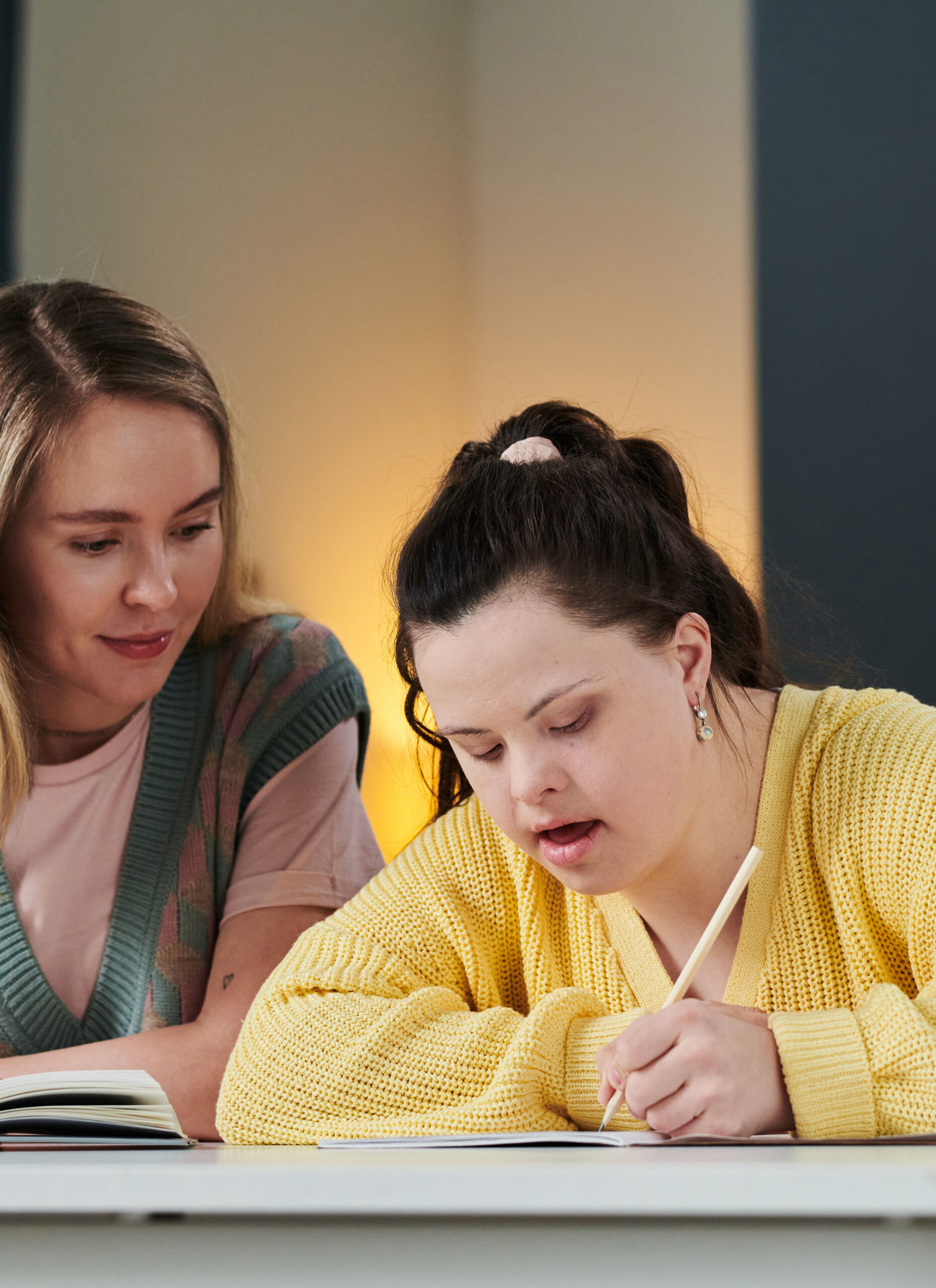 Young Woman Teaching Girl With Disability